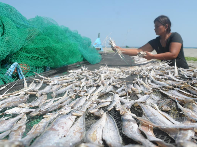 BFAR ensures Pinoys have access to fish