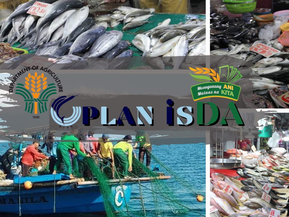 Oplan Isda brings 100- K of fish to NCR