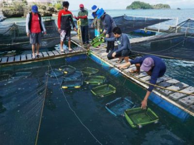91 fishery coordinators finish Good Aquaculture course